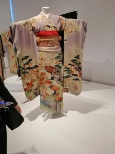 IMG_20221213_101648
